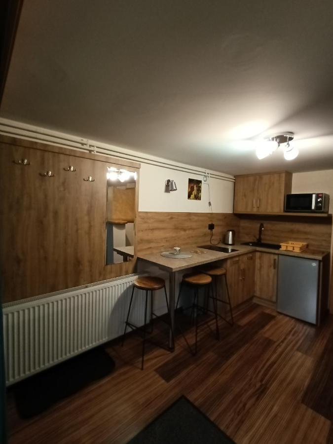 Wynajem U Patryka Daire Poronin Dış mekan fotoğraf